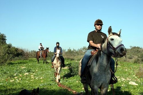 חוות מונפורטויטו